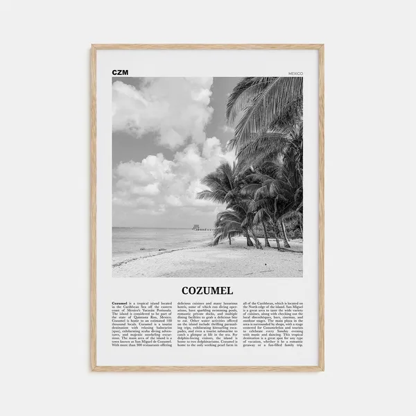 Cozumel Black and White Travel Poster, Mexico Wall Art