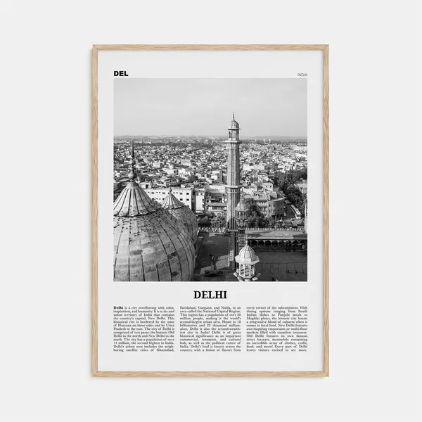 Delhi Black and White Travel Poster, India Wall Art
