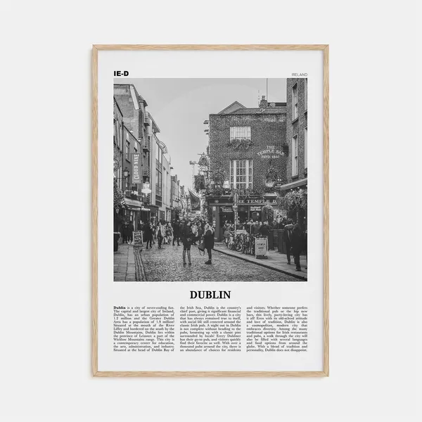 Dublin Black and White Travel Poster, Leinster