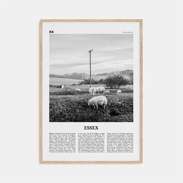 Essex Black and White Travel Poster, England Map