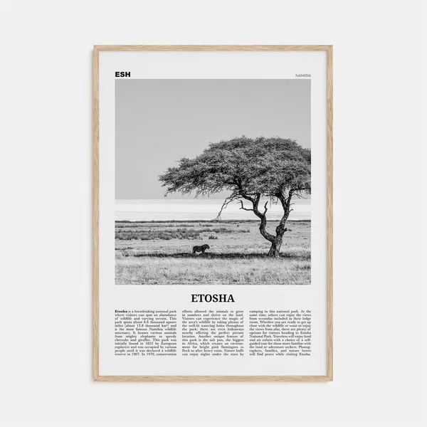 Etosha National Park Map, Black And White Art Print