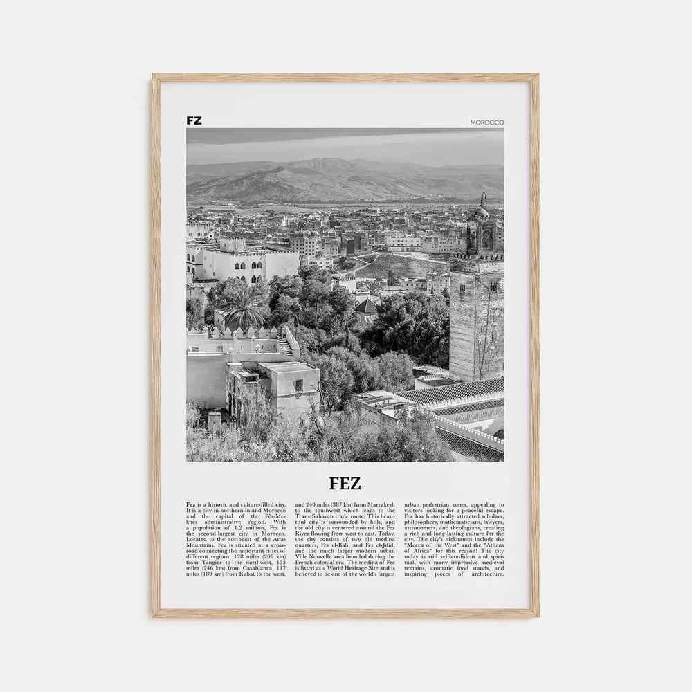 Fez, Morocco Black and White Travel Wall Art Print