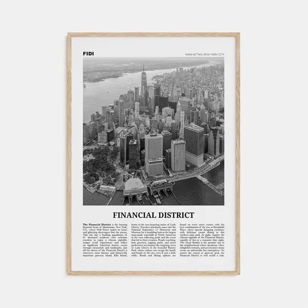 Financial District, New York City Travel Poster