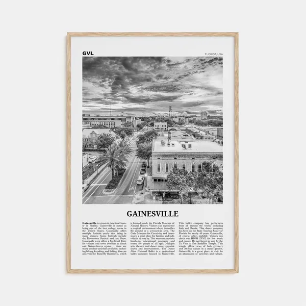 Gainesville Black and White Travel Poster Art Print