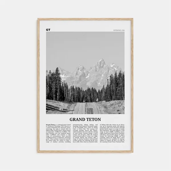 Grand Teton National Park Black and White Travel Poster