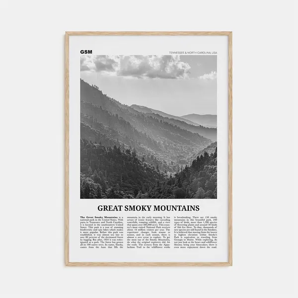 Great Smoky Mountains National Park Black-White Travel Poster
