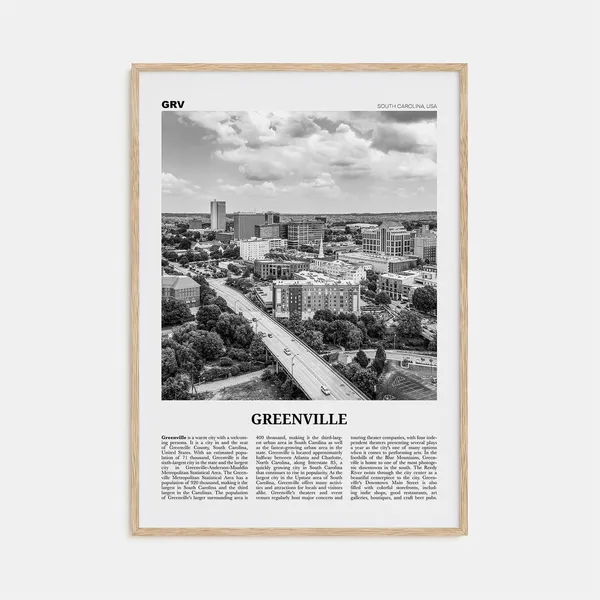 Greenville Black and White No. 1 Travel Poster