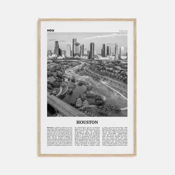 Houston Black and White No. 4 Travel Poster