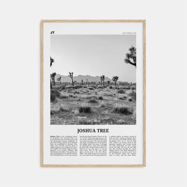 Joshua Tree National Park Black And White Poster
