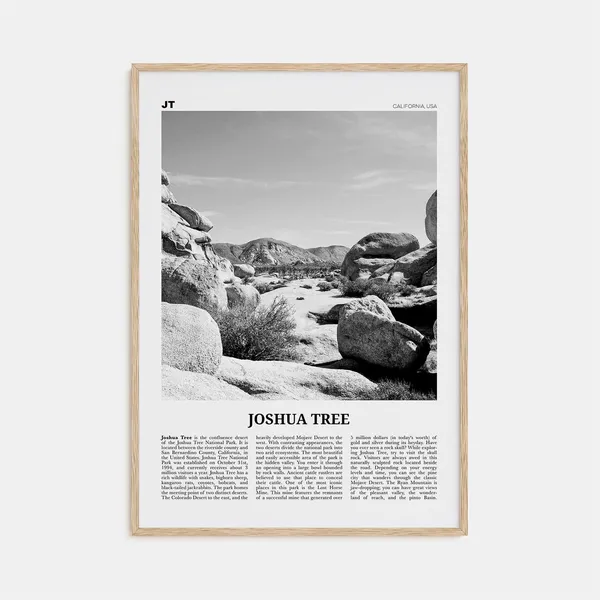 Joshua Tree National Park Black And White Photo Art Print