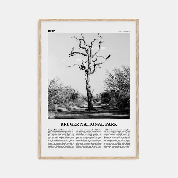 Kruger National Park Black and White Travel Poster