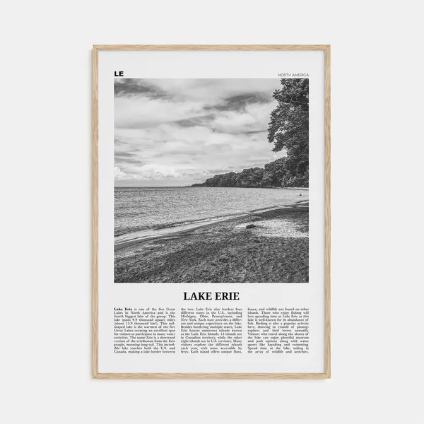 Lake Erie Black and White Travel Poster