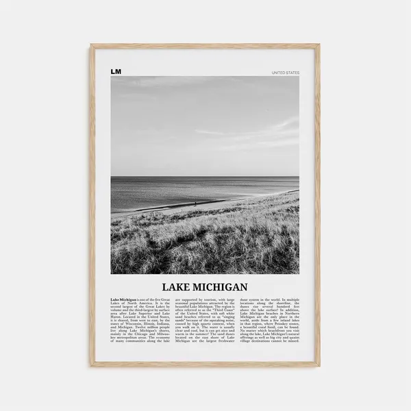 Lake Michigan Black and White Travel Poster Art