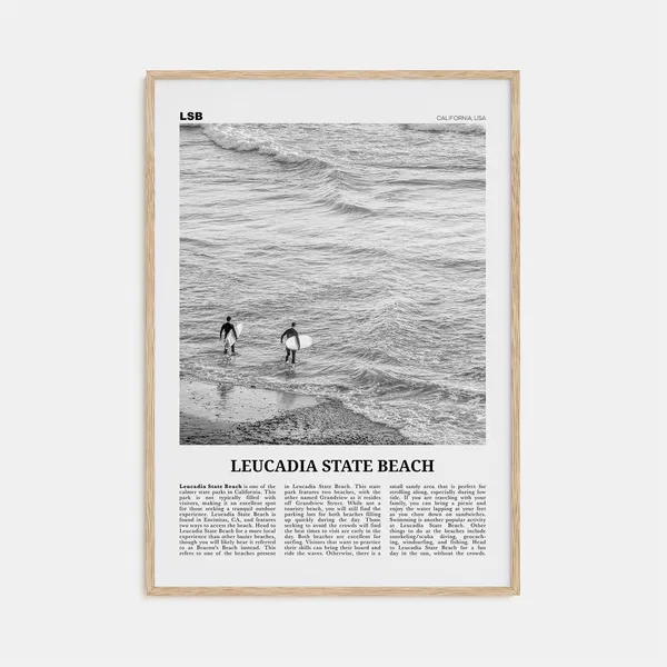 Leucadia State Beach Black and White Travel Poster