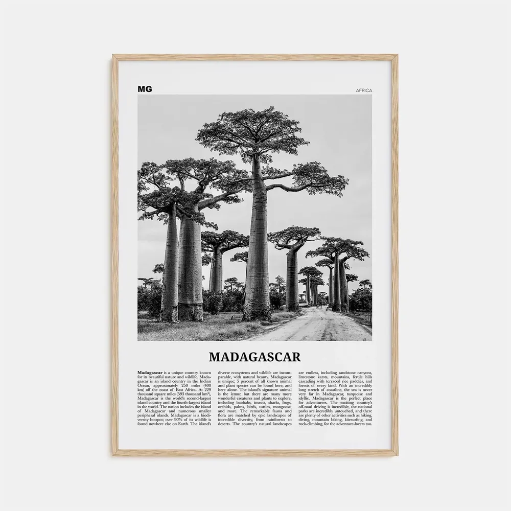 Madagascar Black and White Travel Poster, Antananarivo