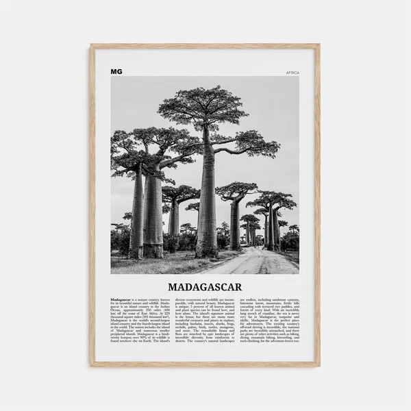 Madagascar Black and White Travel Poster, Antananarivo