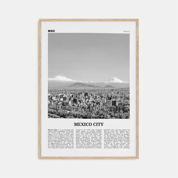 Mexico City Black and White No. 2 Travel Poster