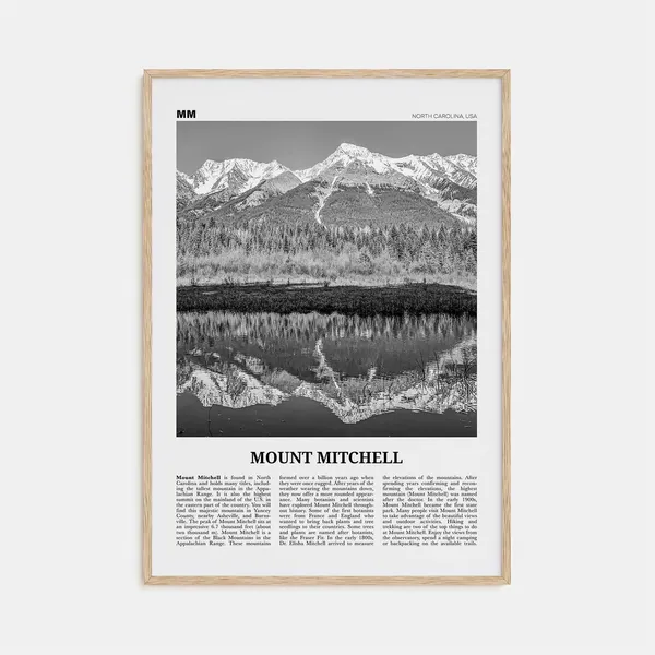 Mount Mitchell, North Carolina Black And White Poster