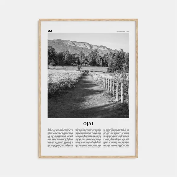 Ojai Black and White Travel Poster, California USA