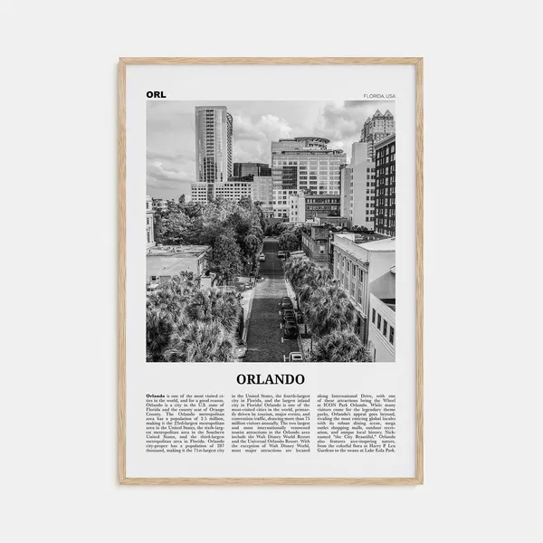 Orlando Florida Black And White No. 3 Travel Poster