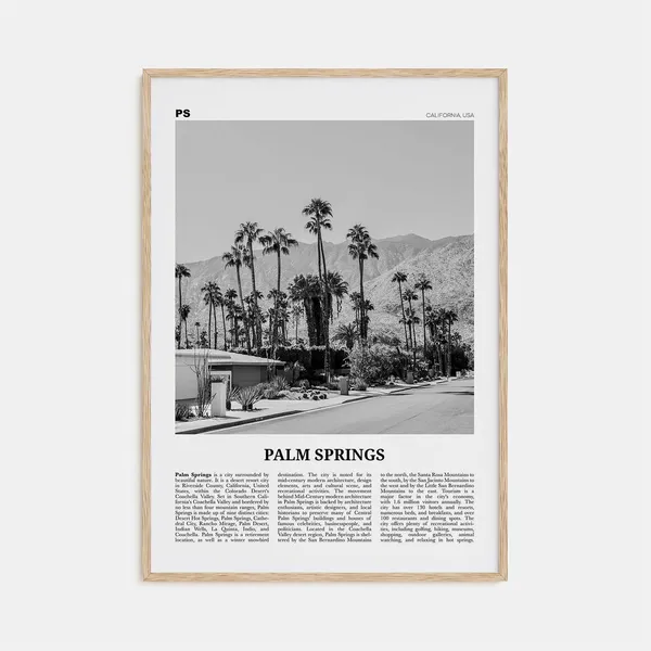 Palm Springs Black and White California Travel Poster