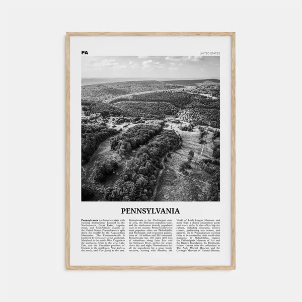 Pennsylvania Black and White No. 2 Travel Poster