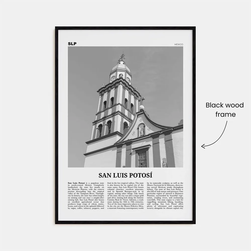 San Luis Potosi Black And White Travel Poster - Image 3