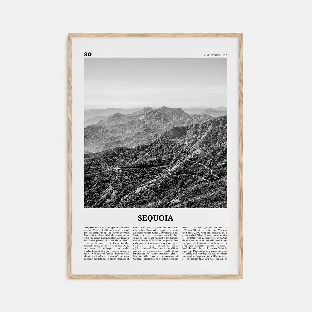 Sequoia National Park Black and White Travel Poster
