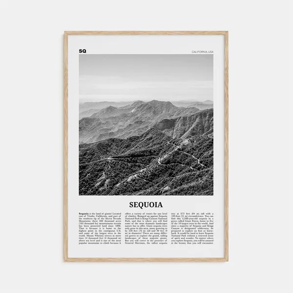 Sequoia National Park Black and White Travel Poster