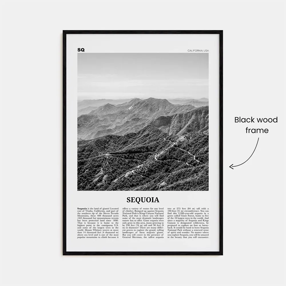 Sequoia National Park Black and White Travel Poster - Image 3