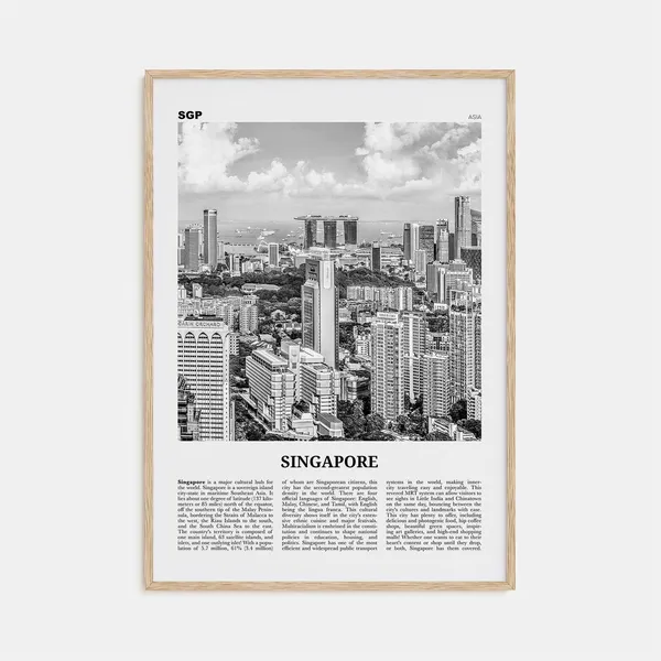 Singapore Black and White Travel Poster, Asia