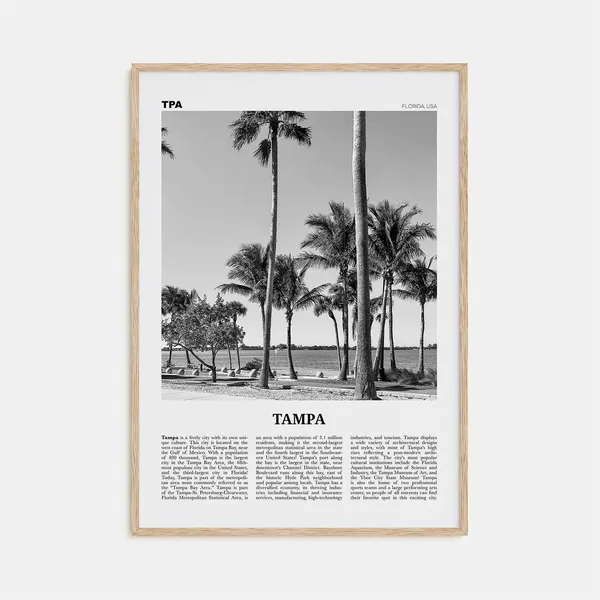 Tampa Black and White No. 3 Florida Travel Poster