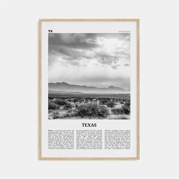 Texas Black And White No. 4 Travel Poster Art Print