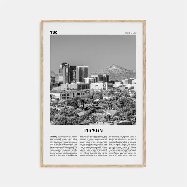 Tucson Black and White Travel Poster, Arizona