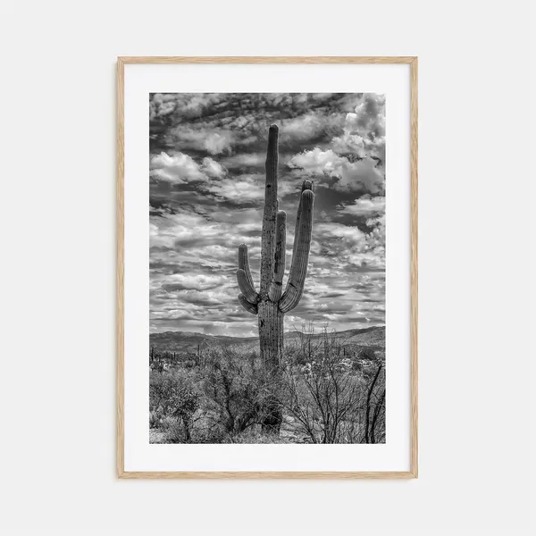 Saguaro National Park Photo Wall Art Print