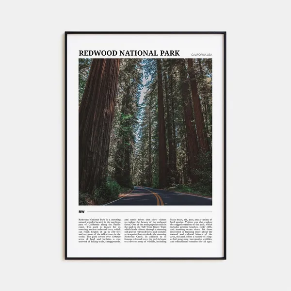 Redwood National Park Travel Poster, Park Wall Art