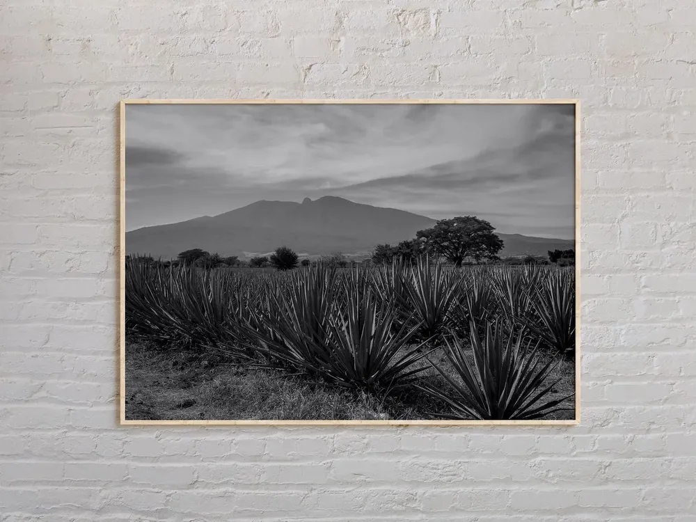 Black and White Jalisco, Mexico Travel Poster