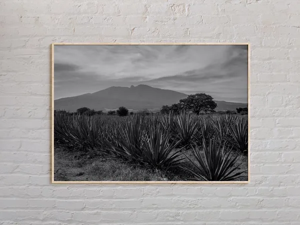 Black and White Jalisco, Mexico Travel Poster