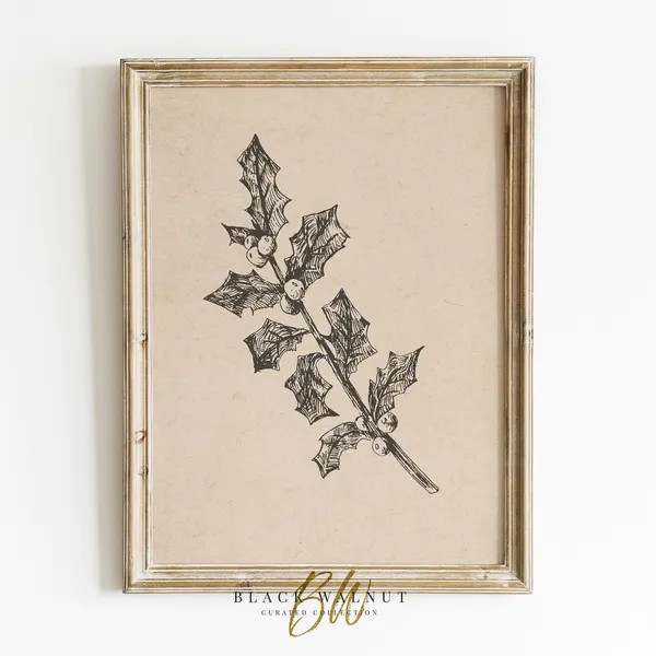 Winter Botanical Holly Minimalist Sketch Art Print