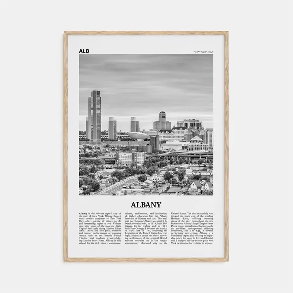 Albany New York Black and White Travel Poster