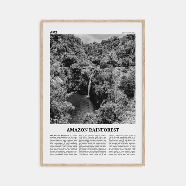 Amazon Rainforest Black And White Poster