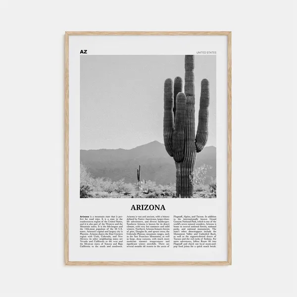 Arizona Black and White Travel Poster, United States