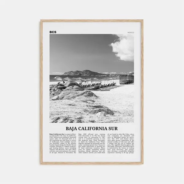 Baja California Sur, Black And White Travel Poster