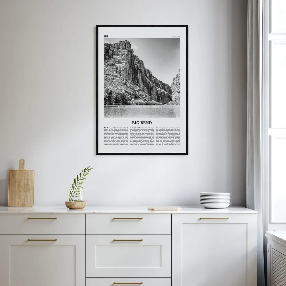 Big Bend National Park Black And White Travel Poster - Image 2