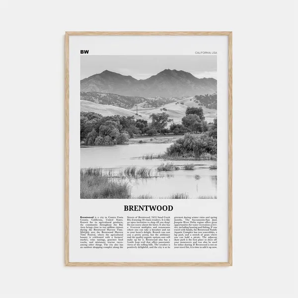 Brentwood Black and White Travel Poster, California