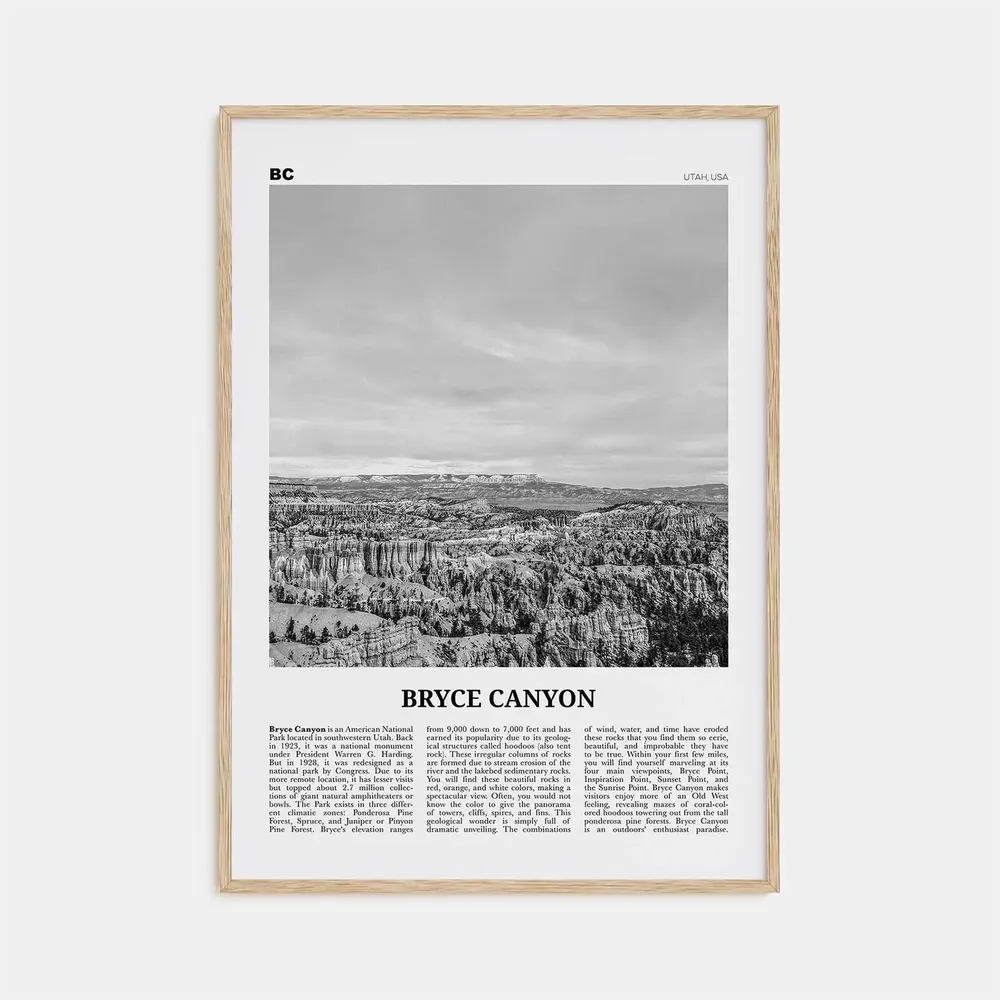 Bryce Canyon National Park, Black and White Travel Poster