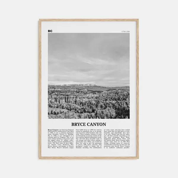 Bryce Canyon National Park, Black and White Travel Poster