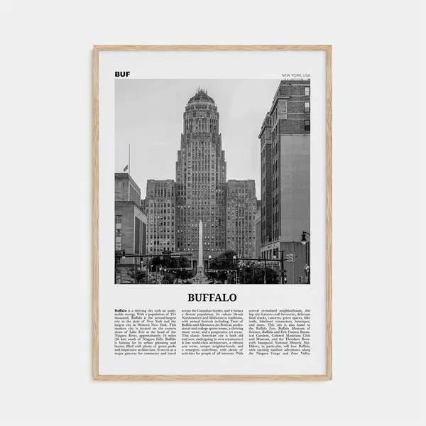 Buffalo Black and White Travel Poster, New York