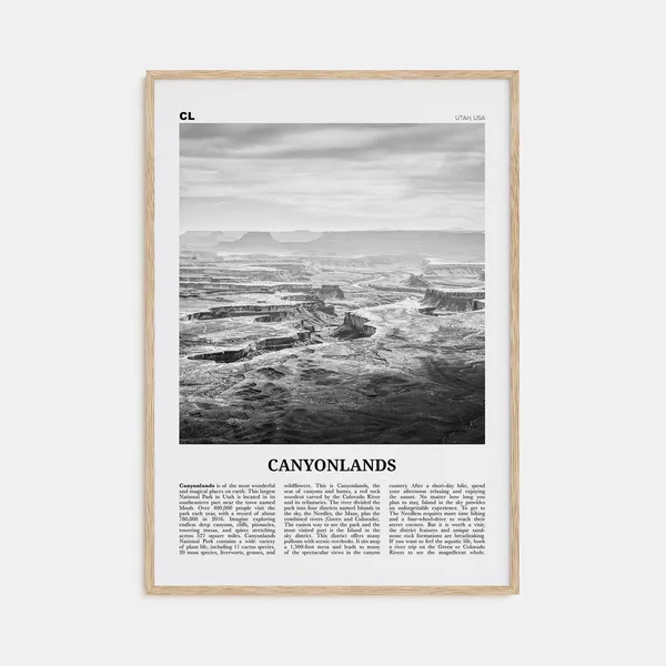 Canyonlands National Park Black and White Travel Poster