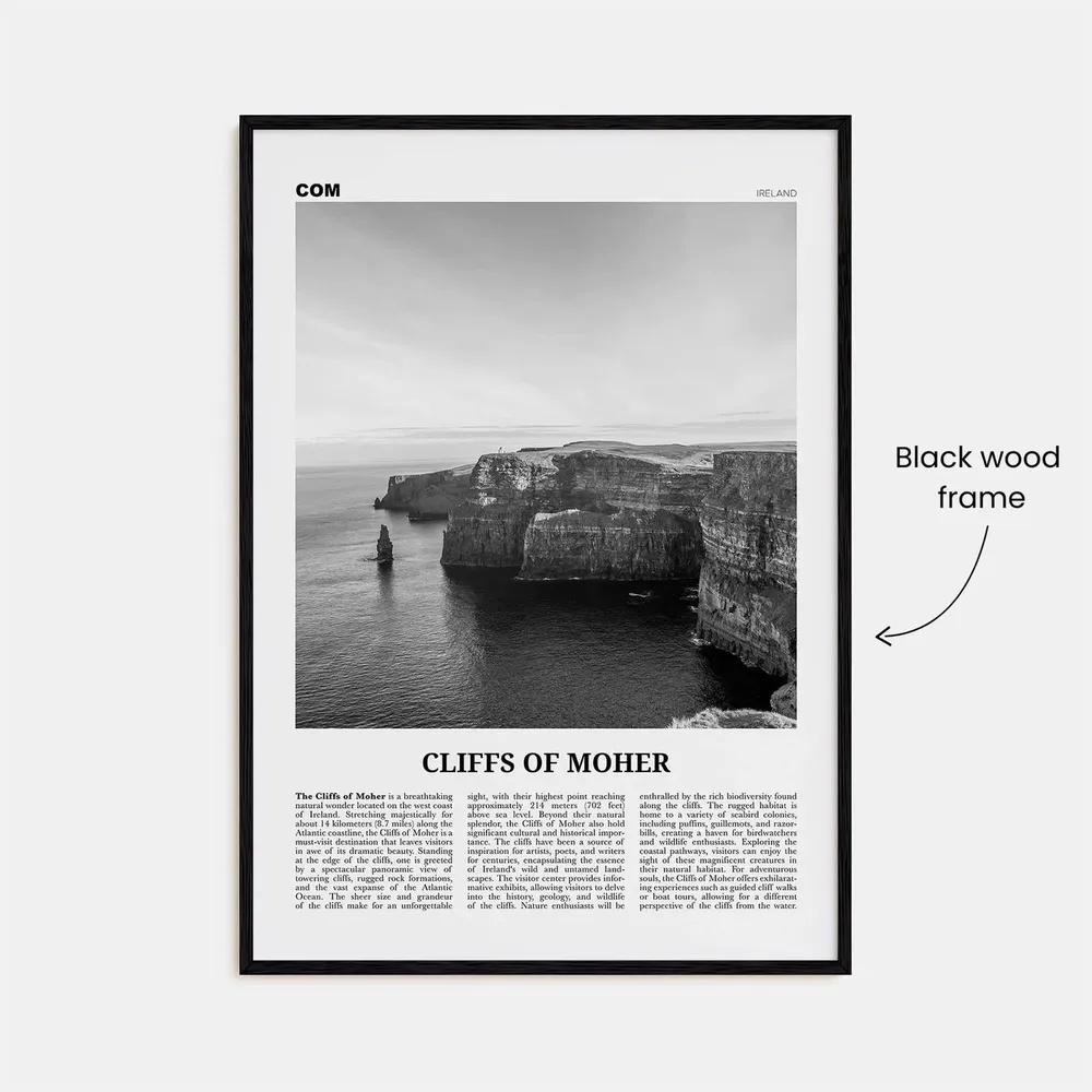 Cliffs Of Moher Black And White Travel Poster - Image 3